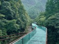 金佛山玩雪攻略路线？金佛山雪景门票多少钱？