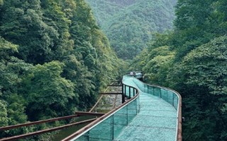 金佛山玩雪攻略路线？金佛山雪景门票多少钱？