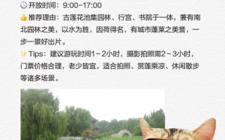 保定旅游攻略一日游路线推荐，保定市一日游攻略？