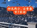 成都旅游攻略及费用，成都旅游攻略路线最佳路线？