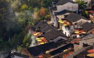 江西婺源旅游景点介绍？江西婺源旅游景点有哪些？