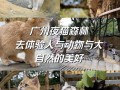 广州白云区旅游攻略一日游推荐，广州白云区旅游景点推荐？