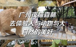 广州白云区旅游攻略一日游推荐，广州白云区旅游景点推荐？