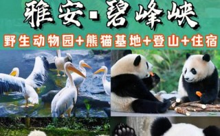 碧峰峡旅游攻略一日游心得感悟，碧峰峡游玩路线？