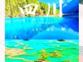 九寨沟旅游攻略一日游路线，九寨沟景区一日游攻略？