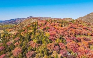 顺义旅游景点有哪些地方，顺义的旅游景点有哪些