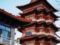 旅游沧州景点推荐一下，沧州旅游景点排名前十？