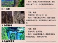 武夷山旅游最新攻略？武夷山旅游攻略,只此一篇就够了!？