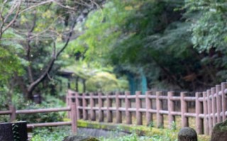 广州从化景点排名大全，广州从化景点大全旅游景点