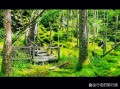 牡丹江风景旅游景点大全，牡丹江著名的旅游景点有哪些