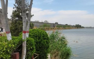 邯郸旅游景点攻略一日游路线，邯郸旅游景点攻略一日游路线推荐？