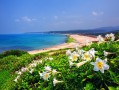 琼海旅游攻略必去景点有哪些，琼海游玩景点及攻略