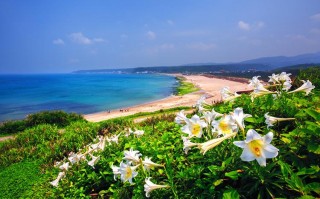 琼海旅游攻略必去景点有哪些，琼海游玩景点及攻略