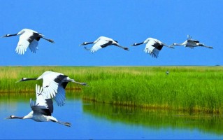 齐齐哈尔景点排名榜前十？齐齐哈尔景点排名榜前十名有哪些？