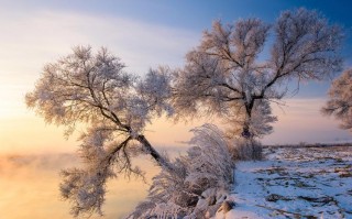 吉林冬季旅游景点排名榜，吉林冬季旅游线路
