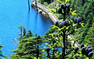 西昌螺髻山游览路线，西昌螺髻山门票多少钱一张？