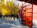 春节去哪里旅游景点？春节去哪里旅游景点好玩？