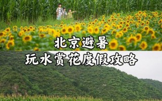 延庆旅游线路，延庆旅游攻略必去景点？