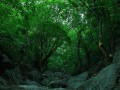 天门旅游攻略路线，湖北天门旅游景点攻略
