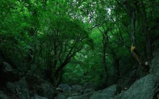 天门旅游攻略路线，湖北天门旅游景点攻略