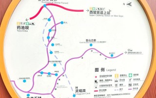 重庆金佛山两日游路线及景点，重庆金佛山一日游详细攻略