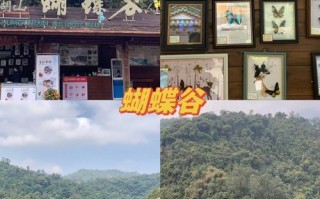 广东肇庆旅游攻略，广东省旅游攻略