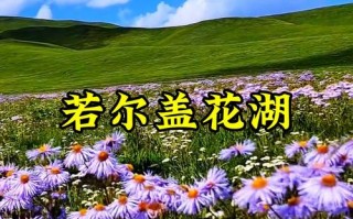 花湖旅游攻略路线推荐，花湖游玩时间