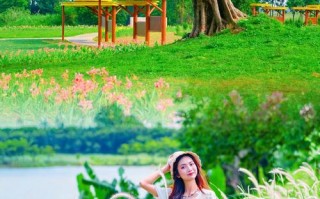 洱海旅游攻略自由行，洱海旅游攻略自由行路线推荐