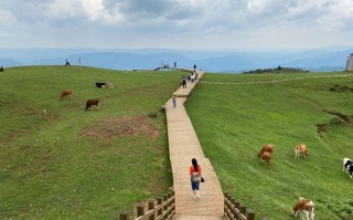 六盘水旅游景点大全免费路线推荐，六盘水旅游景点大全免费路线推荐图片？