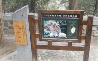 泰山旅游路线策划方案案例范文，泰山旅游线路设计？