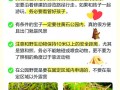 黄石旅游攻略两日游景点大全？黄石二日游旅游景点推荐？