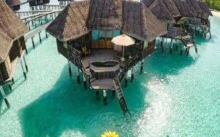 马尔代夫旅游攻略花费多少钱啊？马尔代夫旅游自由行？