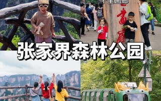 湖南境内适合老人孩子旅游线路有哪些，带老人去湖南哪里好玩