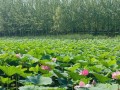 辽阳旅游景点大全排名前十名是哪些？辽阳旅游景点大全排名前十名是哪些地方？