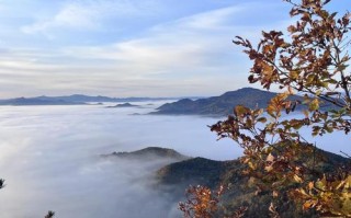 伊春旅游攻略自由行路线？伊春旅游攻略自由行路线图？