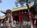少林寺旅游路线攻略，少林寺旅游路线攻略大全？