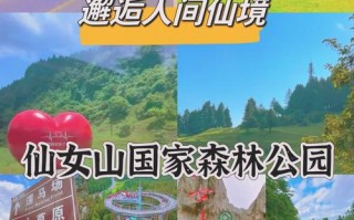 仙女山旅游攻略春季，仙女山旅游攻略夏季