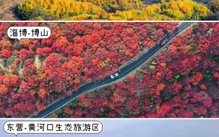 山东旅游攻略5天自由行路线，山东旅游攻略5天自由行路线？