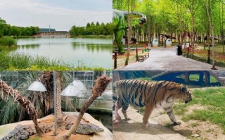 漯河旅游景点排名榜前十名？漯河旅游景点排名榜前十名有哪些？