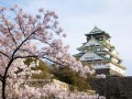 日本旅行景点介绍，日本旅行景点介绍图片