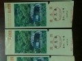 韶山旅游景点门票多少钱一张票，韶山旅游景点门票多少钱一张票啊？