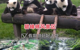 碧峰峡1日游攻略路线，碧峰峡1日游攻略路线图片？