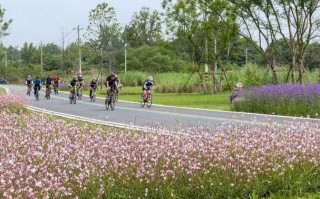温泉旅游线路，温泉旅游休闲