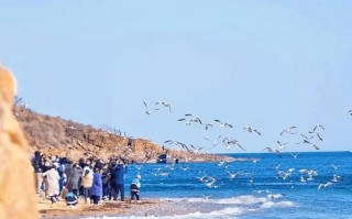 大连的旅游景点排名榜前十名有哪些地方？大连旅游著名景点？