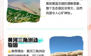 东营风景区旅游攻略？东营风景区旅游攻略一日游？