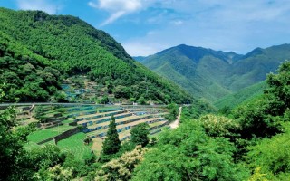 余姚旅游景点攻略自驾游路线？余姚旅游景点大全 风景名胜？