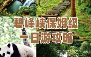 碧峰峡景区游玩路线？碧峰峡风景区攻略？