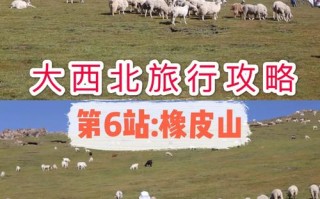 海北旅游攻略一日游路线，海北旅游景点大全排名