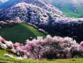 6月山东旅游景点？六月山东旅游？