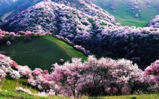 6月山东旅游景点？六月山东旅游？